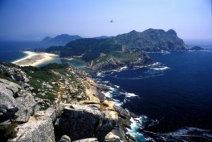 cies